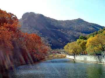 新澳天天开奖资料大全旅游团，王爷采花我采草